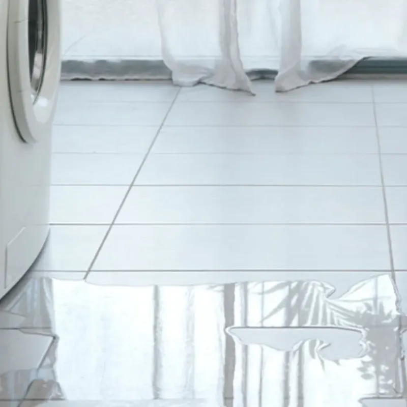 Appliance Leak Cleanup in Floyd County, TX