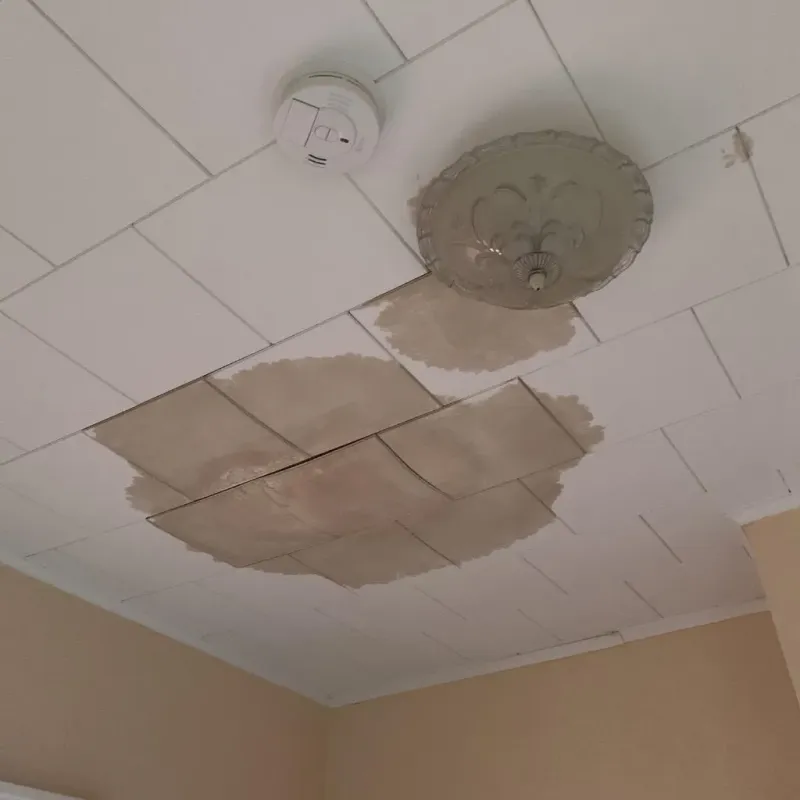 Ceiling Water Damage Repair in Floyd County, TX
