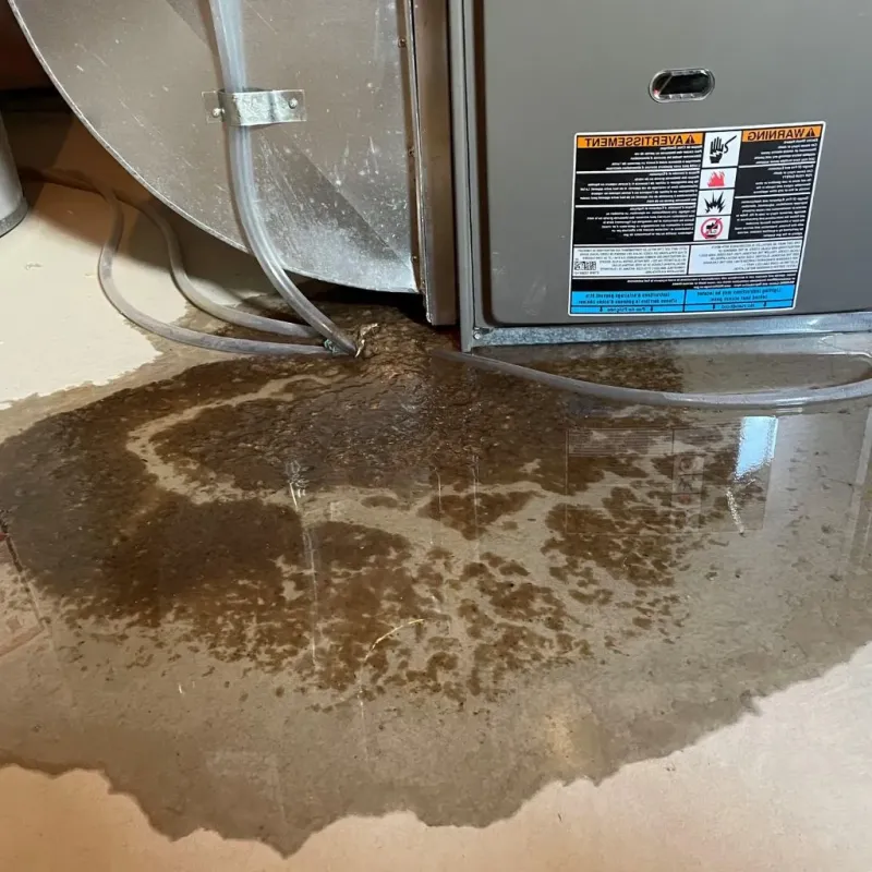 Pipe Burst and Leak Restoration in Floyd County, TX