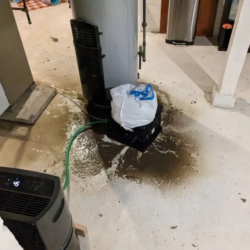 Sewage Backup Cleanup Service in Floyd County, TX